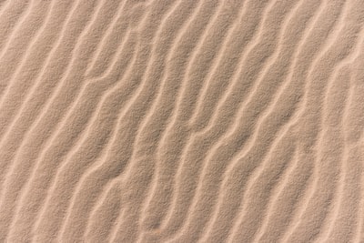有人影的棕色沙滩